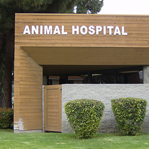 Animal Hospital